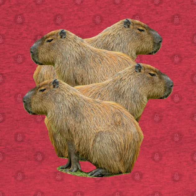 Capybara Stack by dalyndigaital2@gmail.com